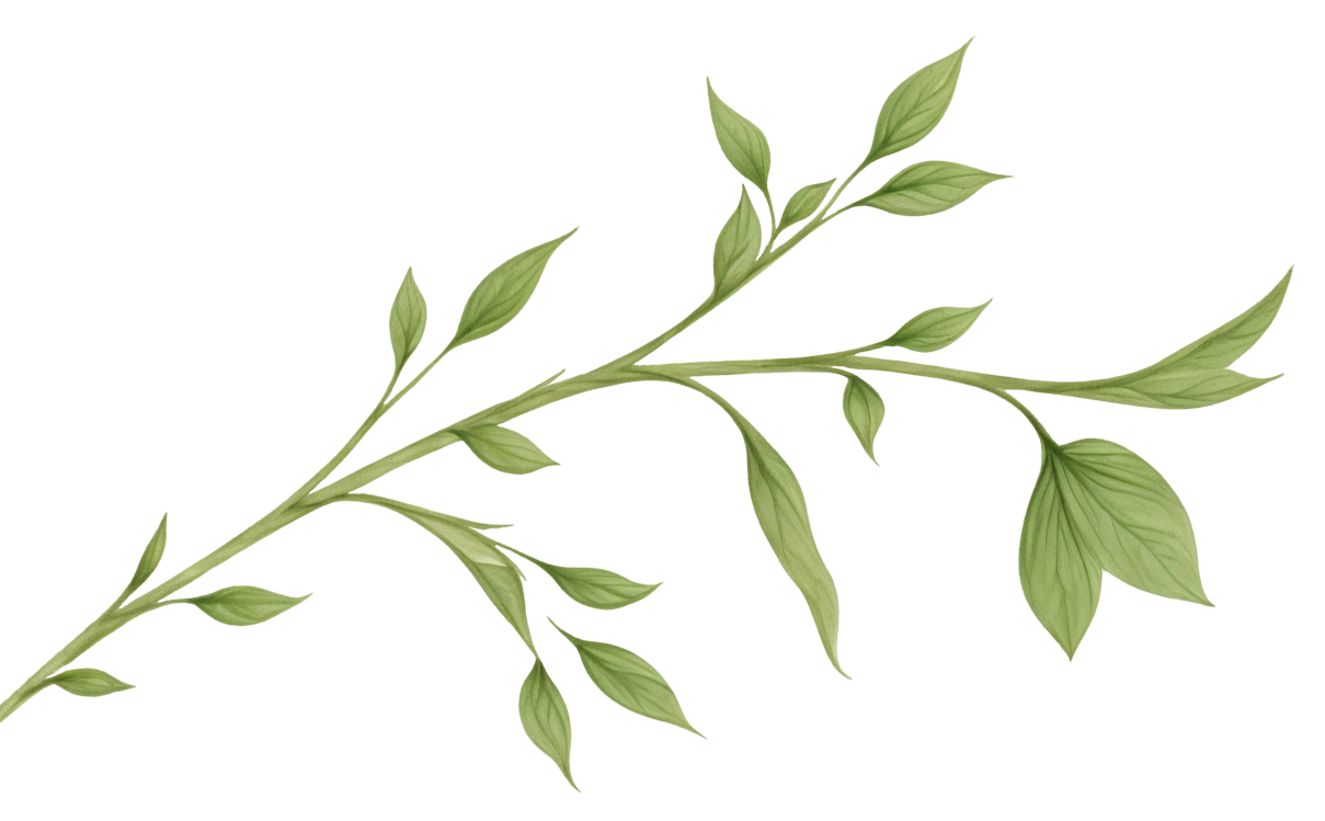 Ilustração de galho com folhas verdes